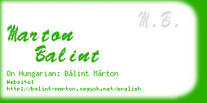 marton balint business card